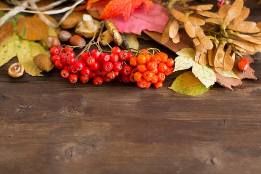 Autumn background with berries, leaves, muchrooms and nuts