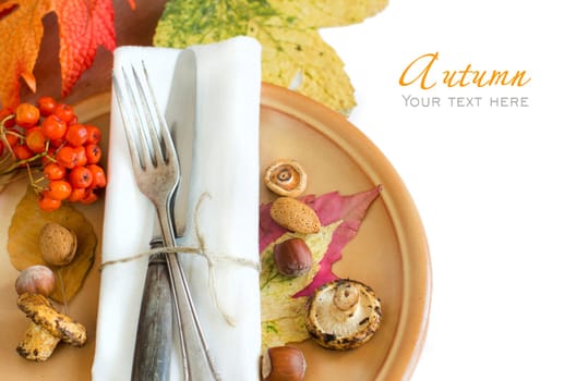 Autumn rustic table setting with berries, leaves, muchrooms and nuts