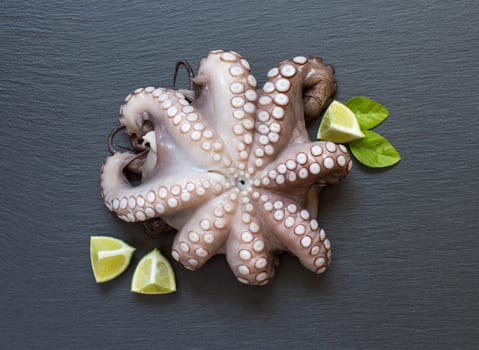 Raw octopus with lime and basil over dark background
