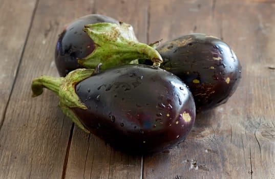 Fresh Ripe Raw eggplants on the wood background