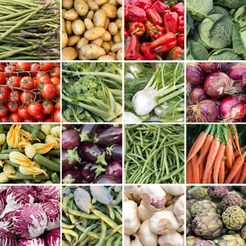 Collage of 16 fresh vegetables from local farmers market