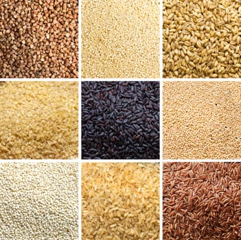 Collage of 9 cereals: buckwheat, millet, spelt, bulgur, black rice, amaranth, quinoa, brown rice, red rice