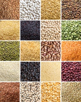 Collage of 20 different legumes and cereals close up
