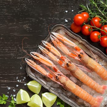 Raw langoustines on ice with lime,tomatoes and herbs over dark background