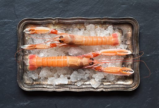 Raw langoustines on ice on a silver tray over dark background top view