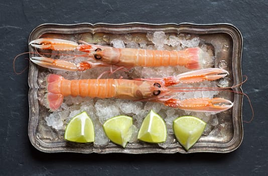 Raw langoustine with lime on ice on a silver tray