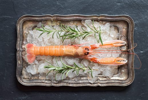 Raw langoustine and rosemary on ice on a silver tray over dark background top view