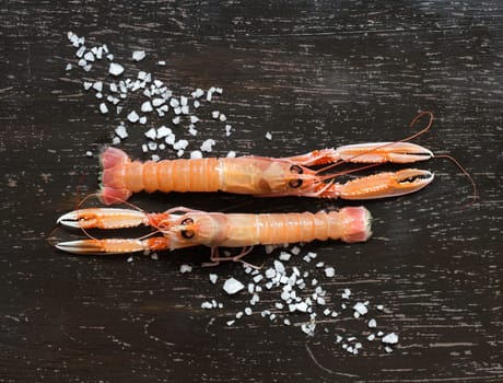 Raw langoustines and salt over dark wooden background