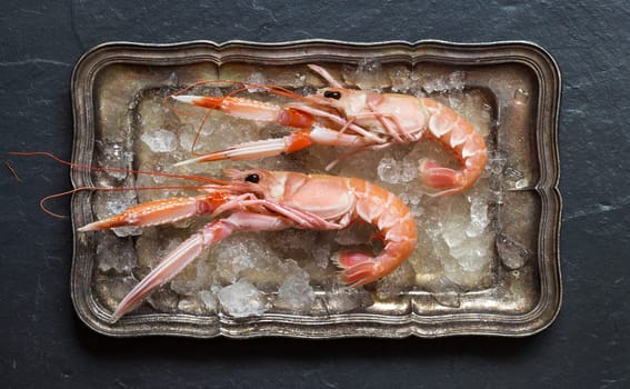 Raw langoustines on ice on a silver tray over dark background top view