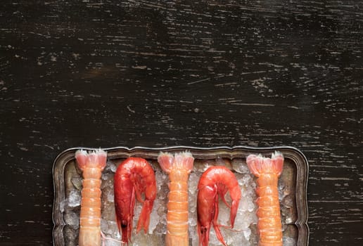 Raw langoustines and shrimps on ice on a silver tray over dark background top view