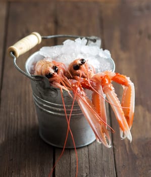 Raw langoustines on ice in a bucket over dark wood