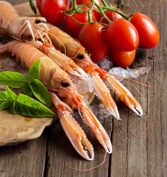 Raw langoustine on ice with tomatoes and basil on wood