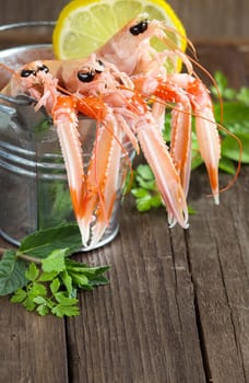 Raw langoustine in a bucket with herbs on wood