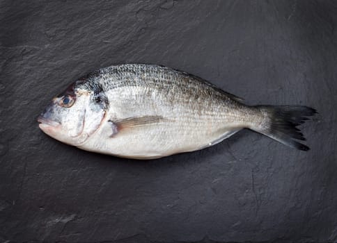 Fresh dorado fish on a dark vintage background