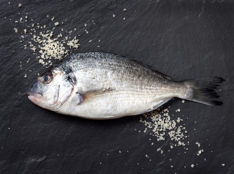 Fresh dorado fish on dark vintage background