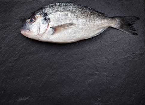 Fresh dorado fish on a dark vintage background
