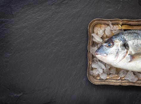 Fresh dorado fish on ice on vintage silver tray