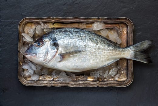 Fresh dorado fish on ice on vintage silver tray