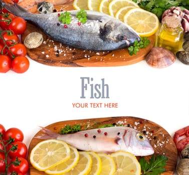 Fresh fish, seafood and vegetables isolated on white
