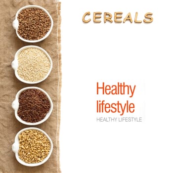 Cereals in bowls border with word Cereals isolated in white