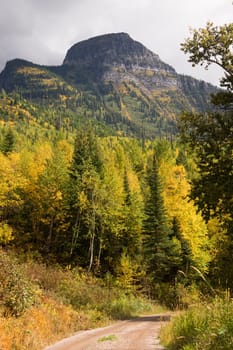 The season ends with fall saturated color in Glacier National Park