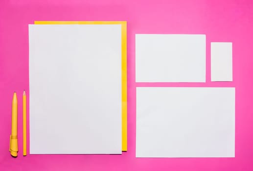 Mock-up business template with cards, papers, pen on pink background.