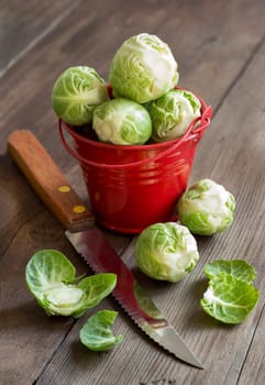 Brussels sprouts in ared bucket with knife on an old wooden table