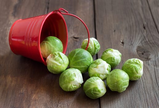 Brussels sprouts in a bucket on an old wooden table