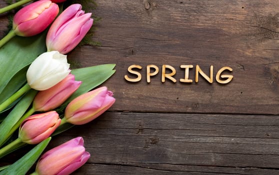 Pink tulips on dark wood background and the word Spring