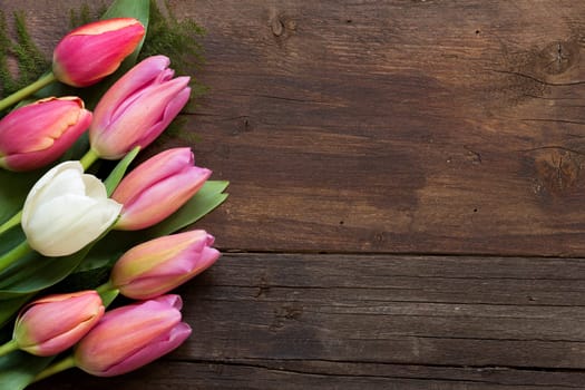 Pink and white tulips on dark wood background