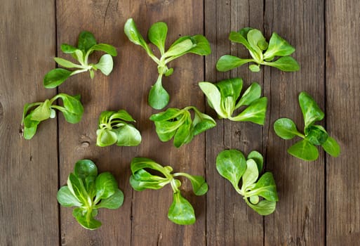 Field salad on the old wooden table top view