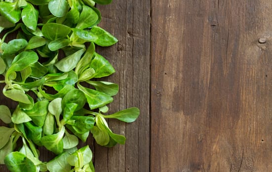Field salad on the old wooden table top view