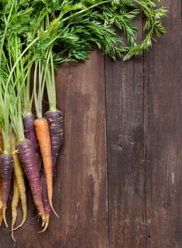 Fresh organic rainbow carrots on a wooden table