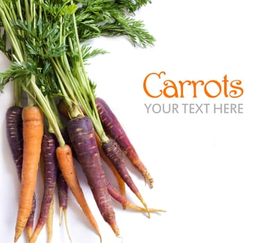 Fresh organic rainbow carrots isolated on white