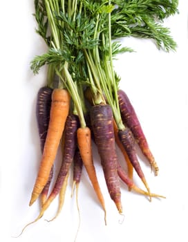 Bunch of fresh organic rainbow carrots isolated on white