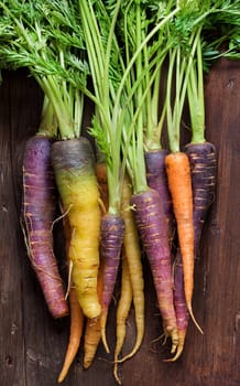 Fresh organic rainbow carrots with leaves on a wooden table