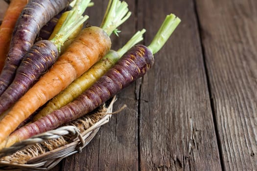 Fresh organic rainbow carrots on a wooden table