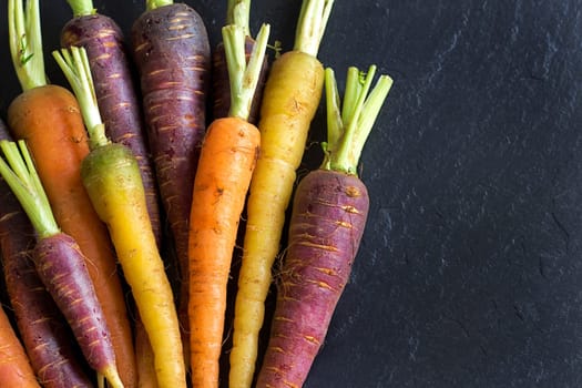 Fresh organic rainbow carrots on a dark background