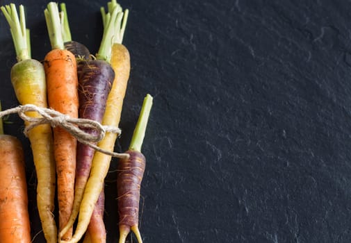Bunch of fresh organic rainbow carrots on a dark background