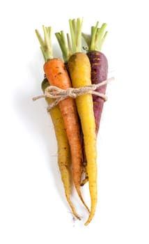 Bunch of fresh organic rainbow carrots isolated on white