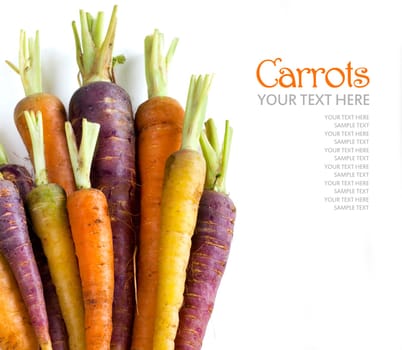 Fresh organic rainbow carrots isolated on white