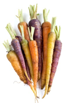 Bunch of fresh organic rainbow carrots isolated on white