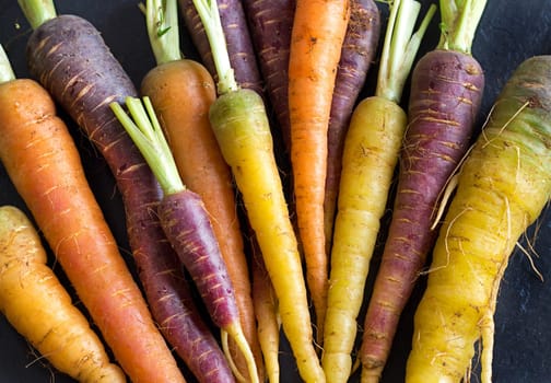 Fresh organic rainbow carrots on a wooden table