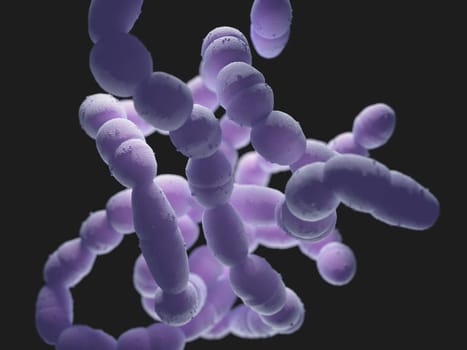 Streptococcus pneumoniae, or pneumococcus, is a gram-positive bacteria responsible for many types of pneumococcal infections.