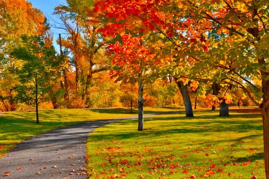 Autumn colors