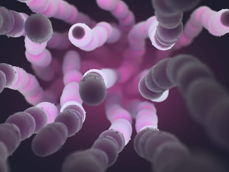 Streptococcus pneumoniae, or pneumococcus, is a gram-positive bacteria responsible for many types of pneumococcal infections.