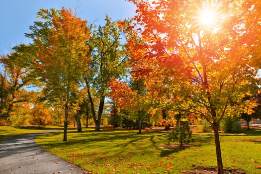 Autumn colors