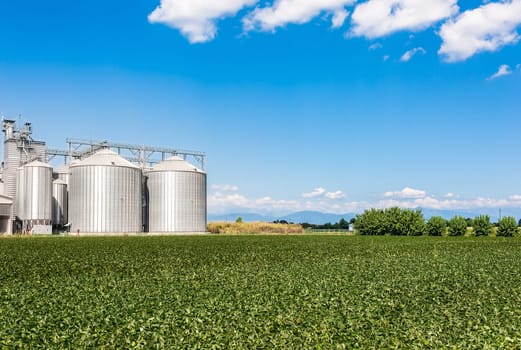 Soybean field and drying plant and silos