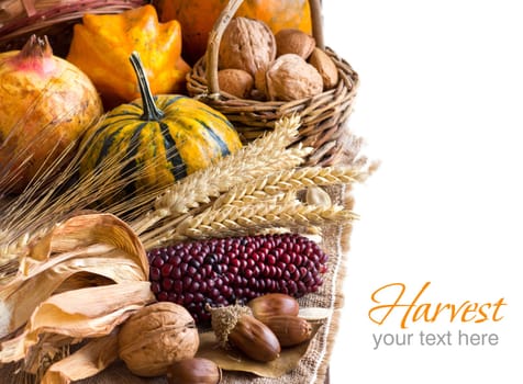 Harvest composition with corn, pumpkins, pomegranate and nuts