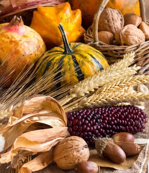 Harvest composition with corn, pumpkins, pomegranate and nuts